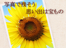ネットプリント注文