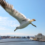 修学旅行♪